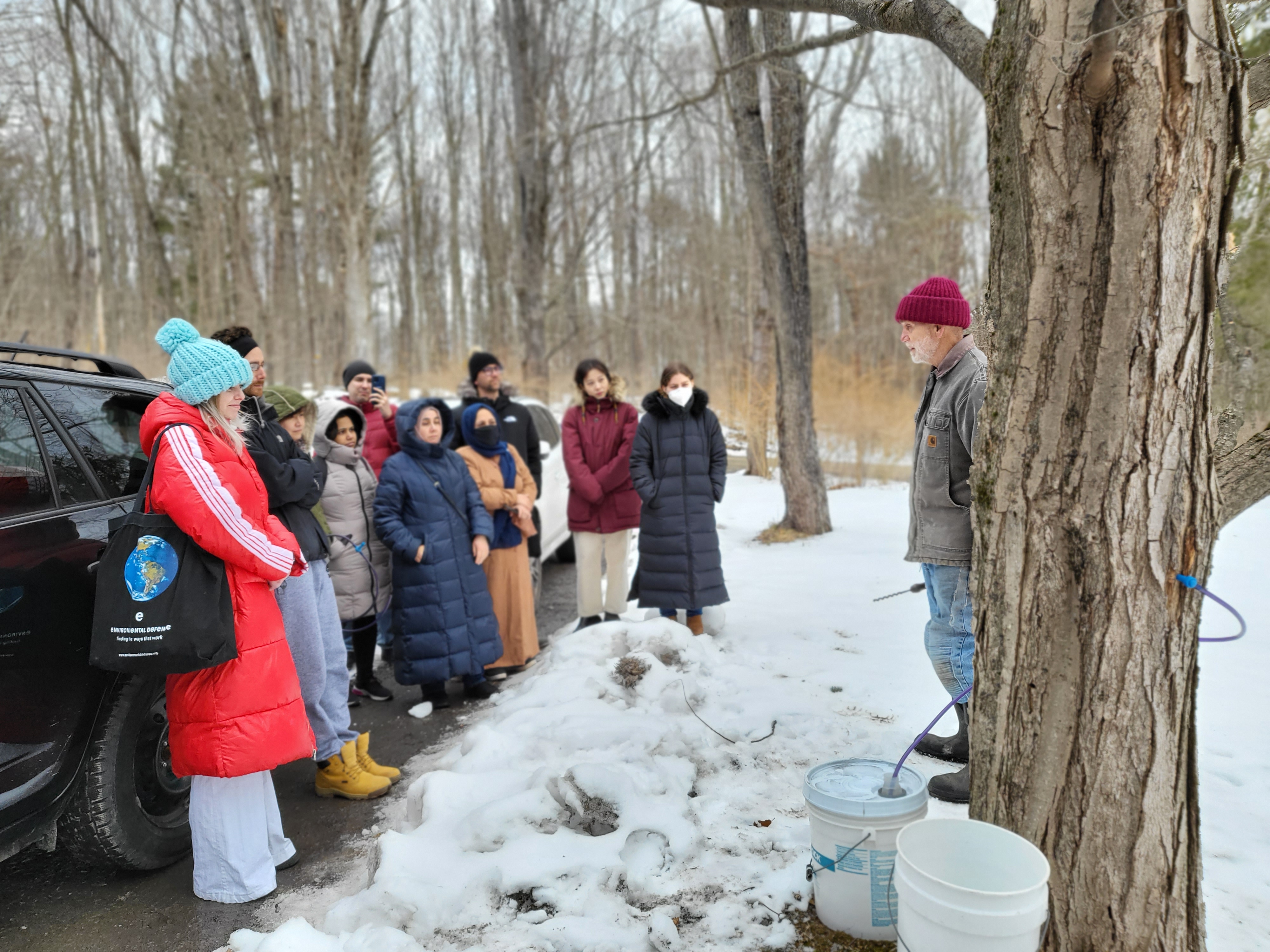 Field Trip: Making Maple Syrup